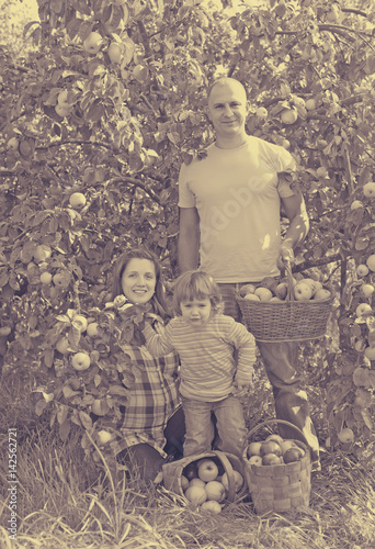 Happy family with   apples in garden