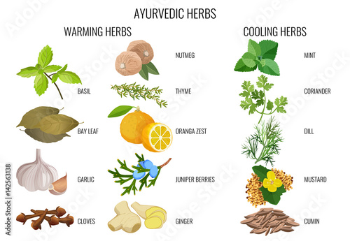 Ayurvedic warming and cooling herbs banner