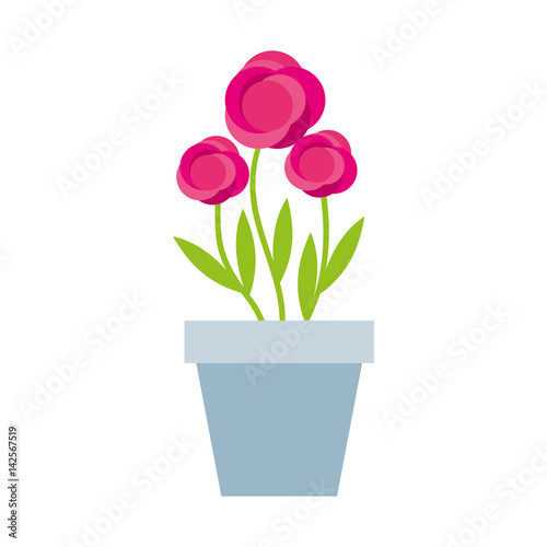 Fototapeta Naklejka Na Ścianę i Meble -  cute garden flower in pot vector illustration design