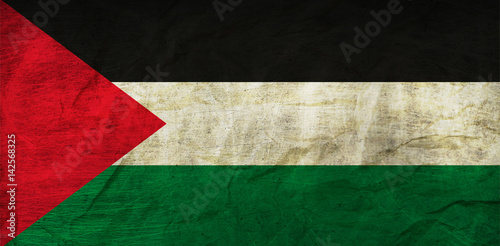 Palestine Flag on Paper