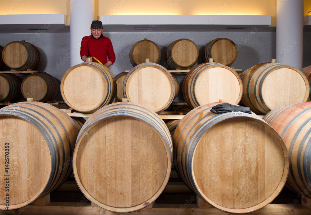 wine cellar for storing aged wine wine cellar for storing aged wine