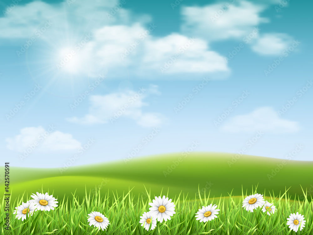 Rural hilly landscape with daisies in the foreground. Vector nature background. Rural hilly landscape with daisies in the foreground. Vector nature background.