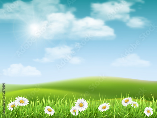 Rural hilly landscape with daisies in the foreground. Vector nature background.