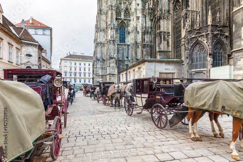 Horses with carriage near St. Stephen Cathedral at Stephansplatz in Vienna, Austria.