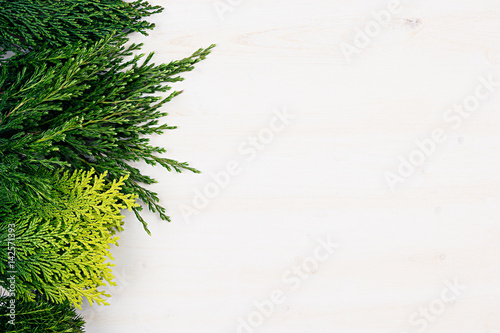 Decorative border of green young conifer shoots with copy space on white wooden table background.