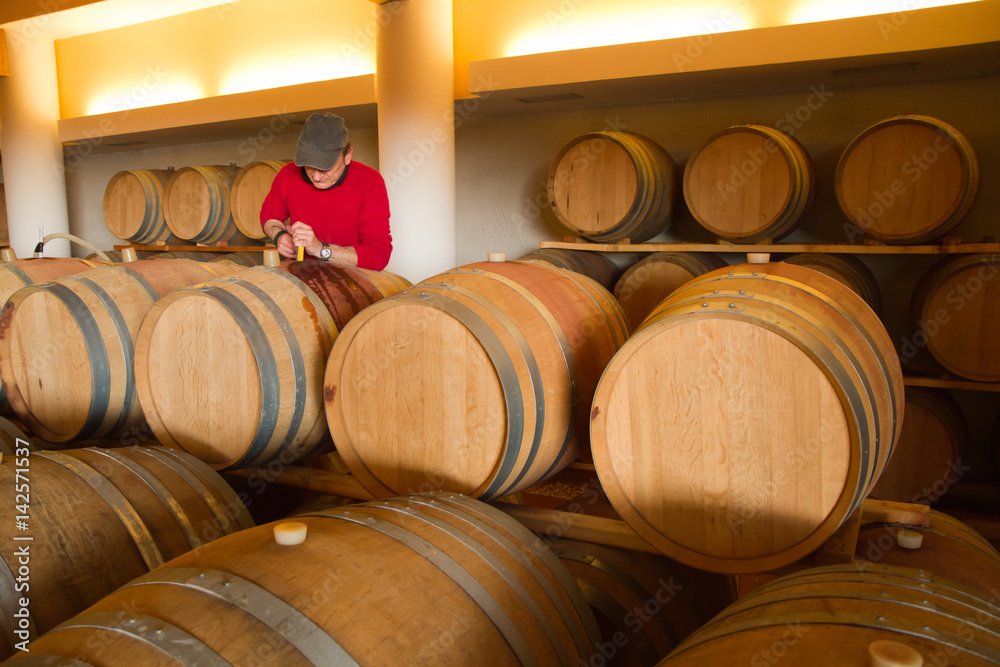 wine cellar for storing aged wine wine cellar for storing aged wine