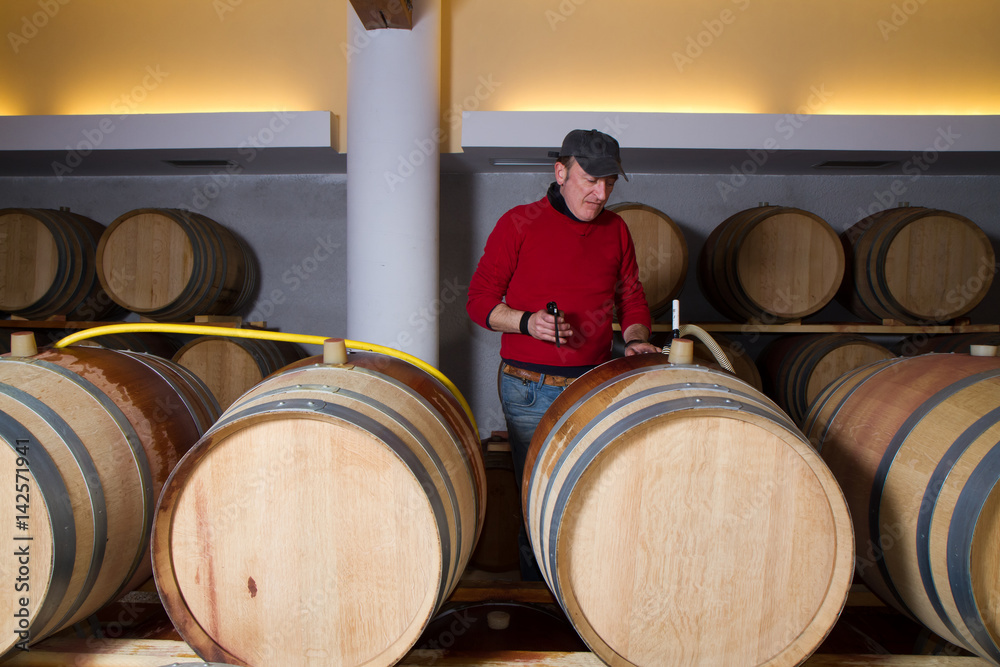 wine cellar for storing aged wine wine cellar for storing aged wine