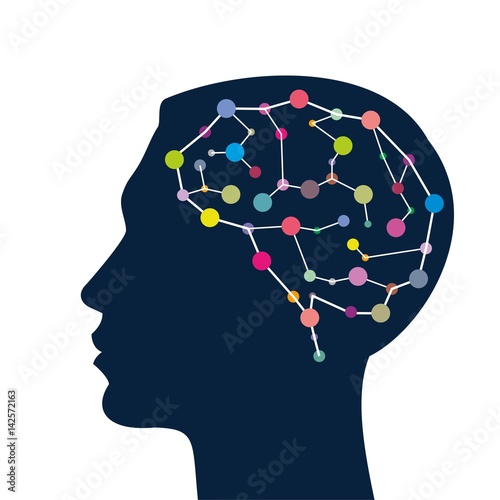 Human head silhouette and structure of the brain photo