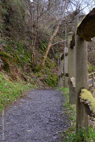 path