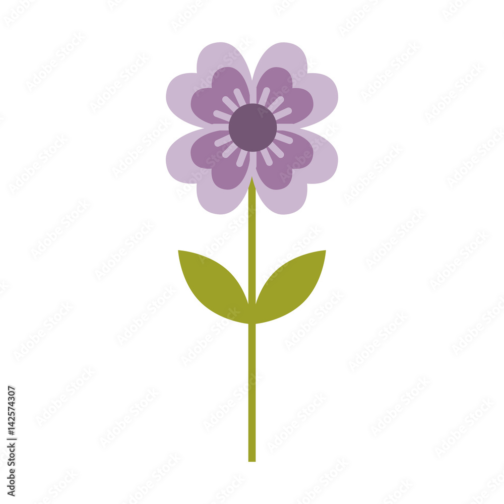 cute flower isolated icon vector illustration design cute flower isolated icon vector illustration design