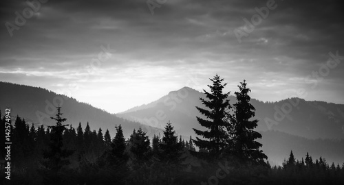 A beautiful, abstract monochrome mountain landscape with trees. Decorative, artistic look in black and white style.
