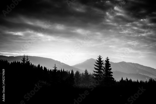 A beautiful  abstract monochrome mountain landscape with trees. Decorative  artistic look in black and white style.