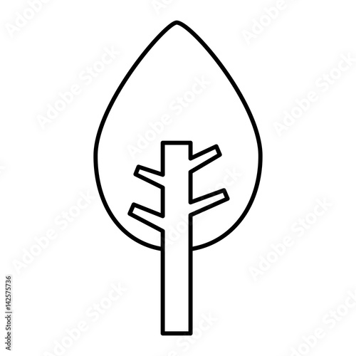 tree plant pine isolated icon vector illustration design