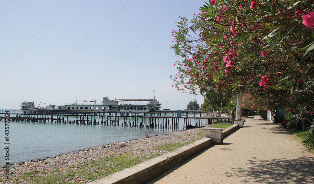 Beach line in bay of Abkhazia with trees and flowers.