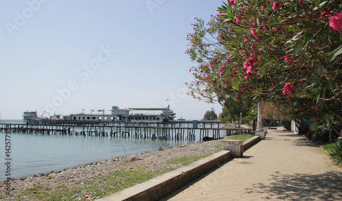 Beach line in bay of Abkhazia with trees and flowers.
