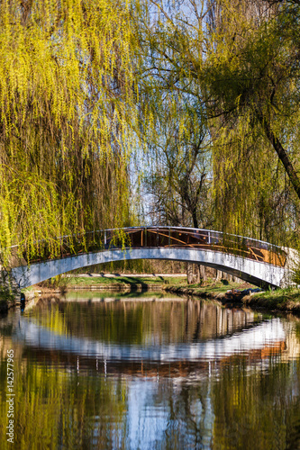 bridge across the lake in spring park