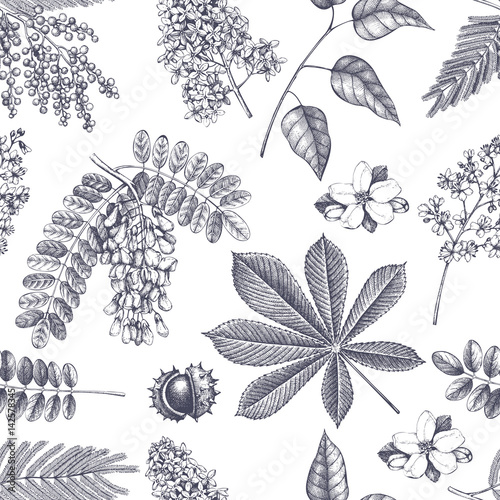 Vector spring background. Seamless pattern with hand drawn blossoming trees sketch. Vintage floral illustration.
