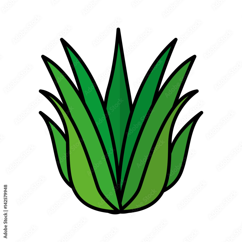 grass nature isolated icon vector illustration design