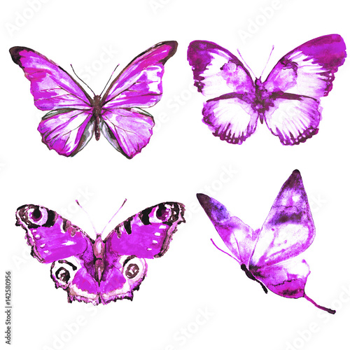 beautiful violet  butterfly, isolated  on a white,watercolor © aboard