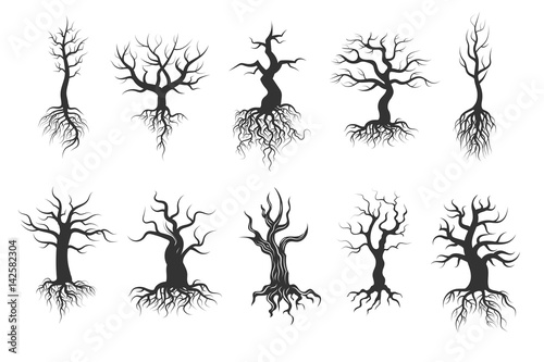 Old tree vector silhouettes with roots vector set