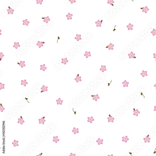 Seamless floral pattern forget-me-not pink flowers. Myosotis gentle flower pattern on white background, vector, eps 10