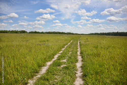 Road between the summer field against the blue sky