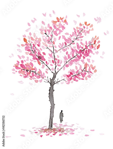 Isolated beautiful cherry blossom tree © corina