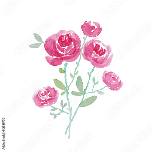 Watercolor illustration of rose flowers