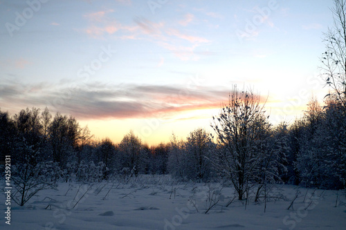Закат в зимнем лесу © olgakondratieva
