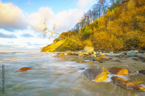 Fototapeta Naklejka Na Ścianę i Meble -  Sunset over the beach and cliffs in Wolinski National Park, Baltic, Poland