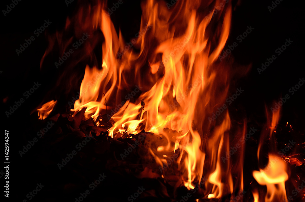 Image of the flame from the bonfire Image of the flame from the bonfire