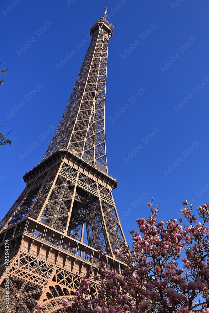 Arrivée du printemps à la Tour Eiffel, Paris, France