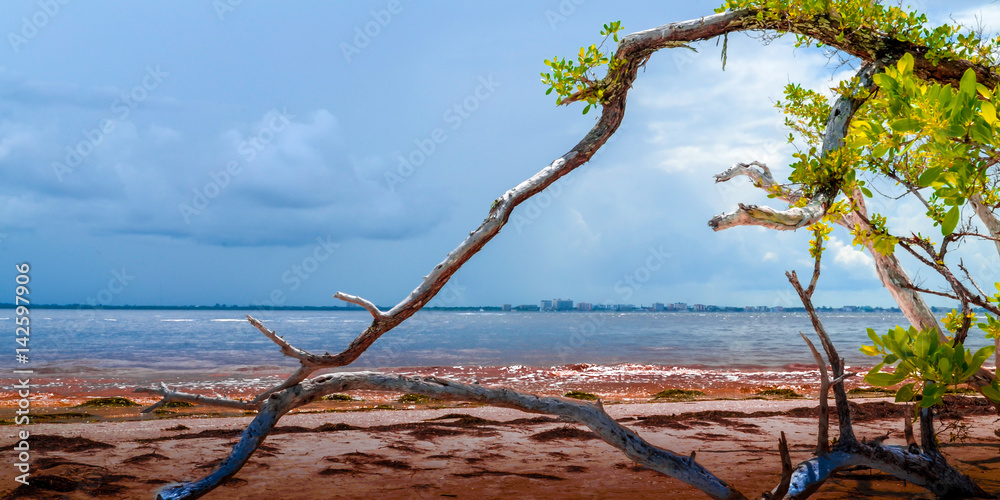 Sanibel red sands