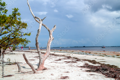 Sanibel Sands