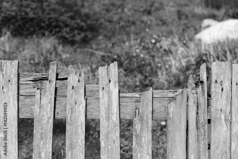 Old weathered broken wooden fence