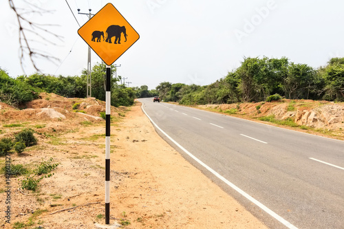 Yellow elephant wanring sign on the road