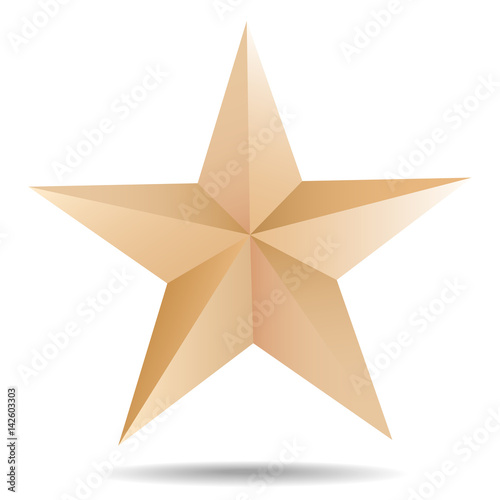 Vector Paper Star Shape Origami Object