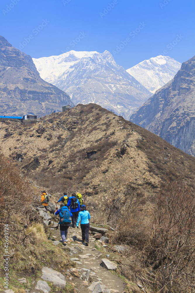 Tourists trekking in Himalaya mountain valley to Annapurna basecamp of Nepal