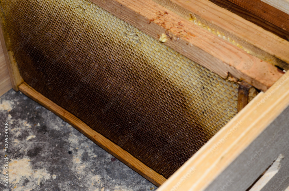 Wooden frames with honeyycombs in the beehive Wooden frames with honeyycombs in the beehive