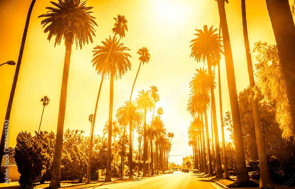 Obraz premium Ulica w Beverly Hills w Kalifornii