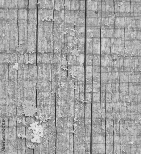 black and white, background, structure wood cracked texture.