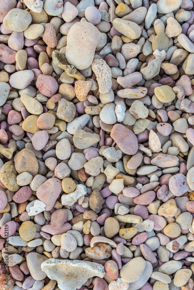 Pebblestone and coral background