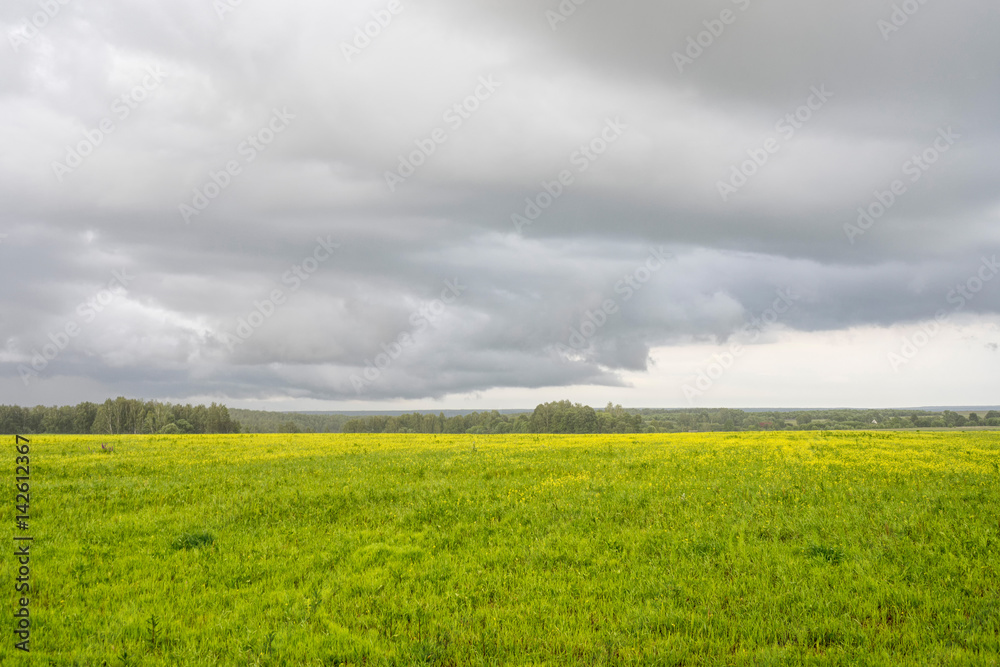 Obraz premium Blossoming meadow at rain with storm clouds 
