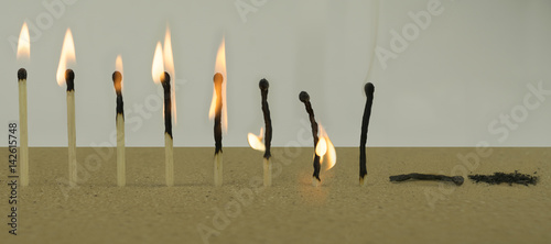 Life Cycle Concept Using Matchsticks