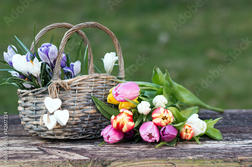 Fototapeta Naklejka Na Ścianę i Meble -  Weidenkorb mit Krokusse und Tulpen im Frühling rustikal auf Holz
