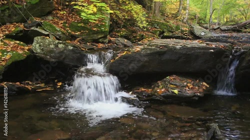 Waterfalls At Ricketts Glen State Park photo