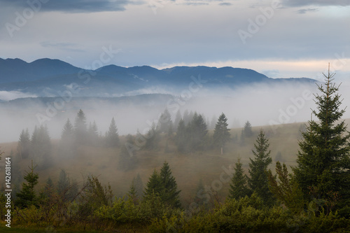 Morning landscape near Rozaje, Montenego © David Katz