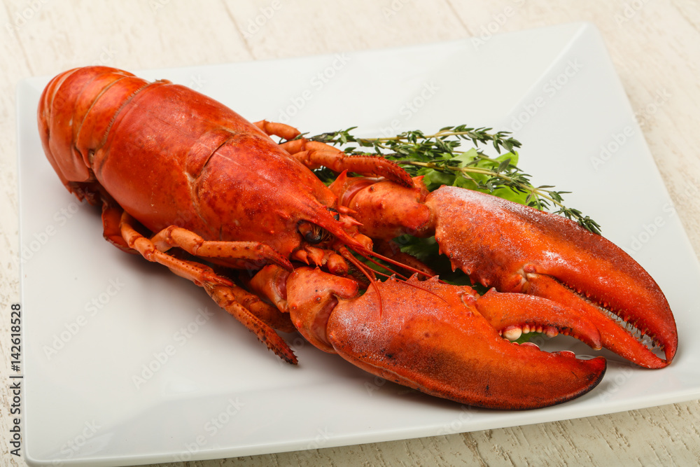 Lobster Lobster