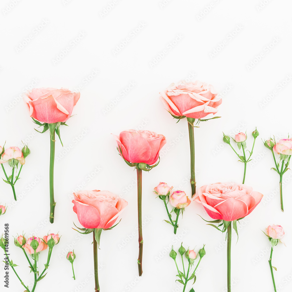 Floral pattern with pink roses, branches and buds on white background. Flat lay, top view. Floral background.