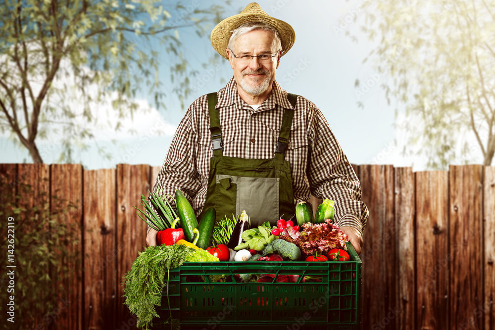 Gärtner mit Obst und Gemüse StockFoto Adobe Stock